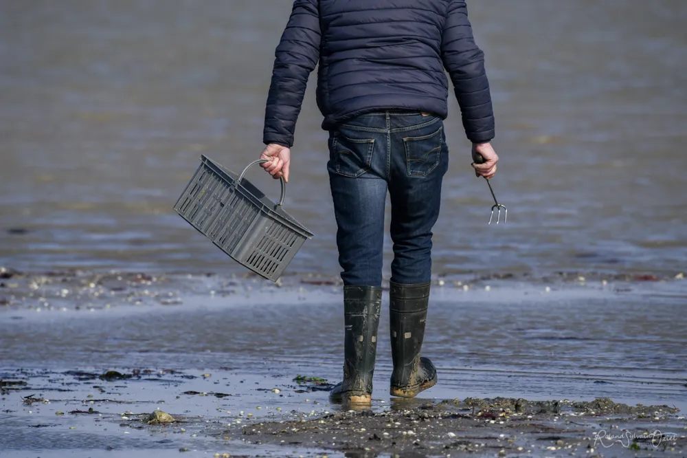pêche à pieds en vendée