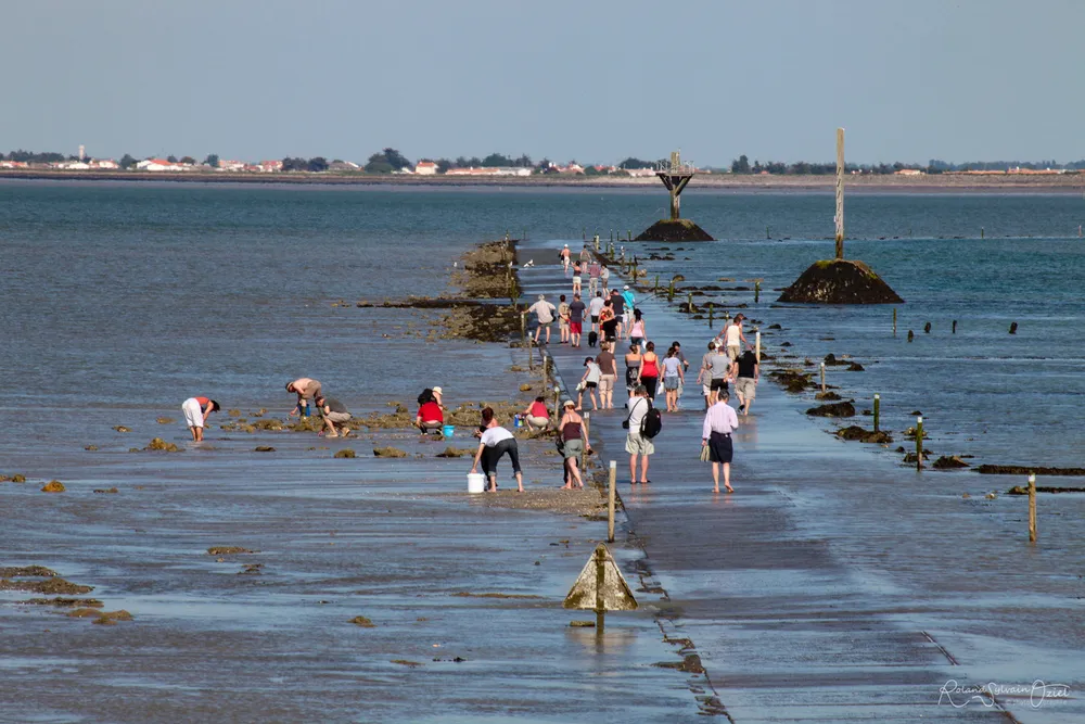 camping proche du gois