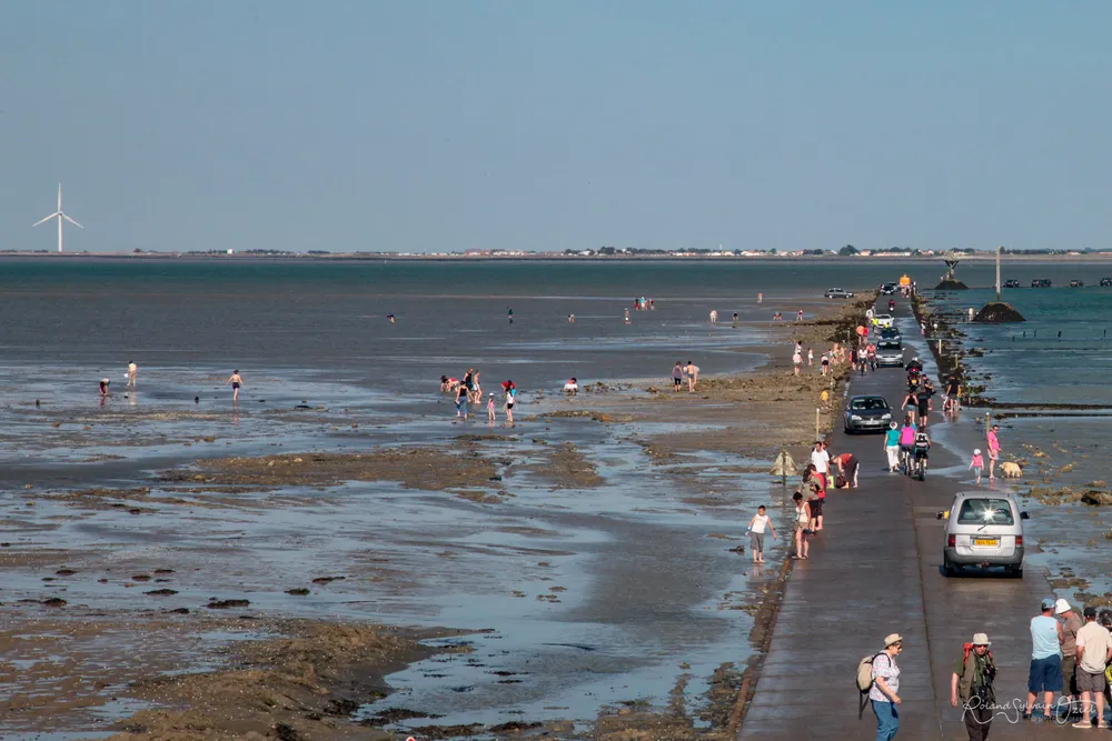pêche à pieds au gois à Noirmoutier