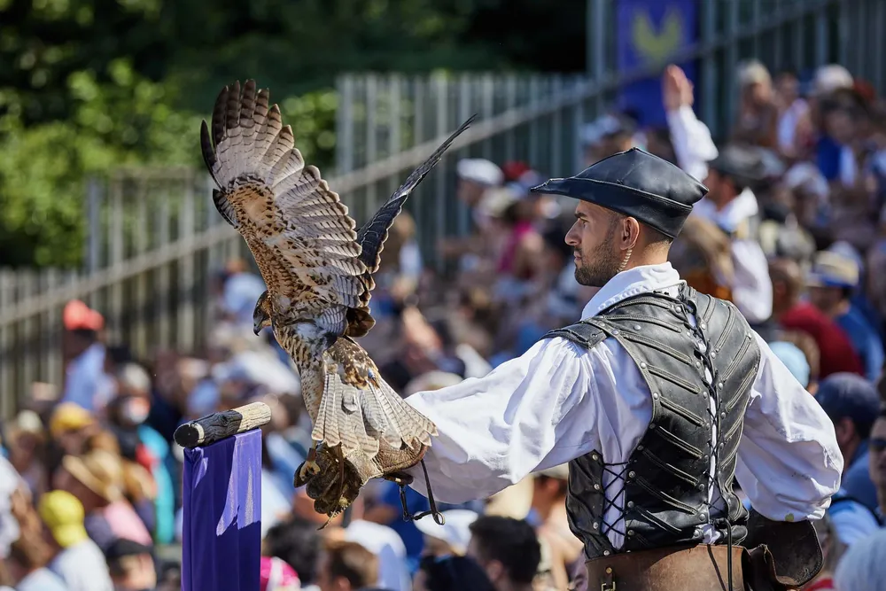 bal des oiseaux du puy du fou