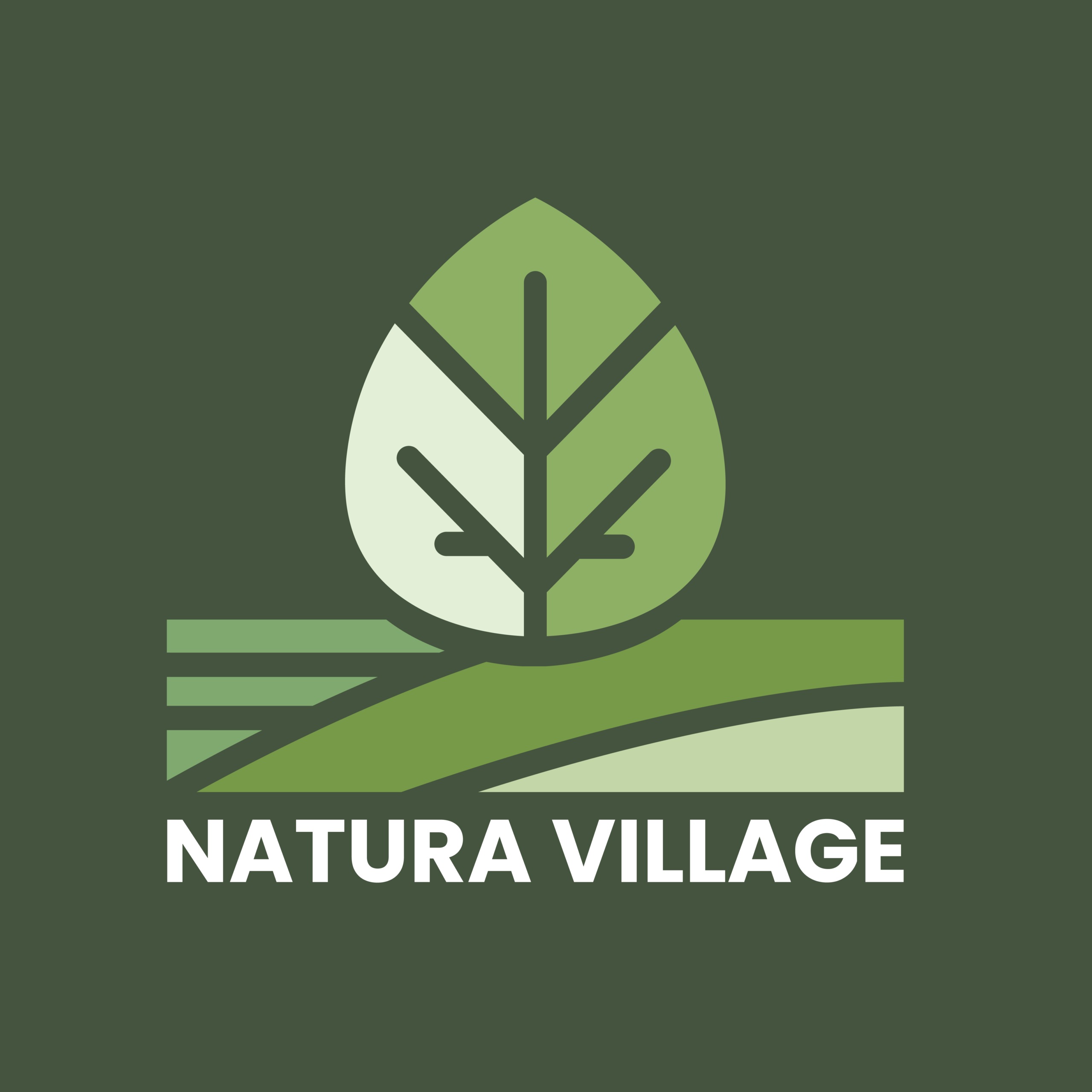 palmier des vacances en campings Happi Village