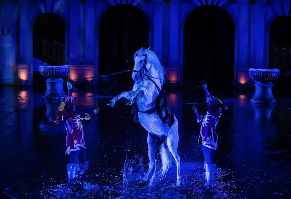 spectacle de chevaux en vendée