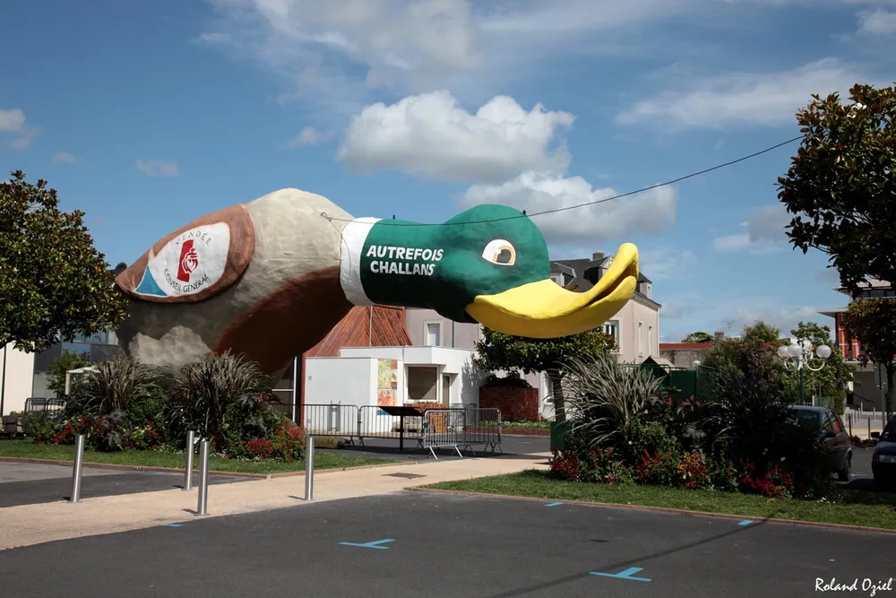 le célèbre canard d'autrefois à challans