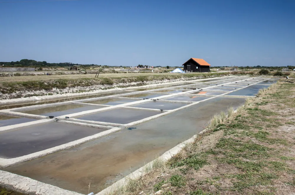 les marais salants, un écosystème préservé à découvrir lors d'un séjour chez Happi Village.