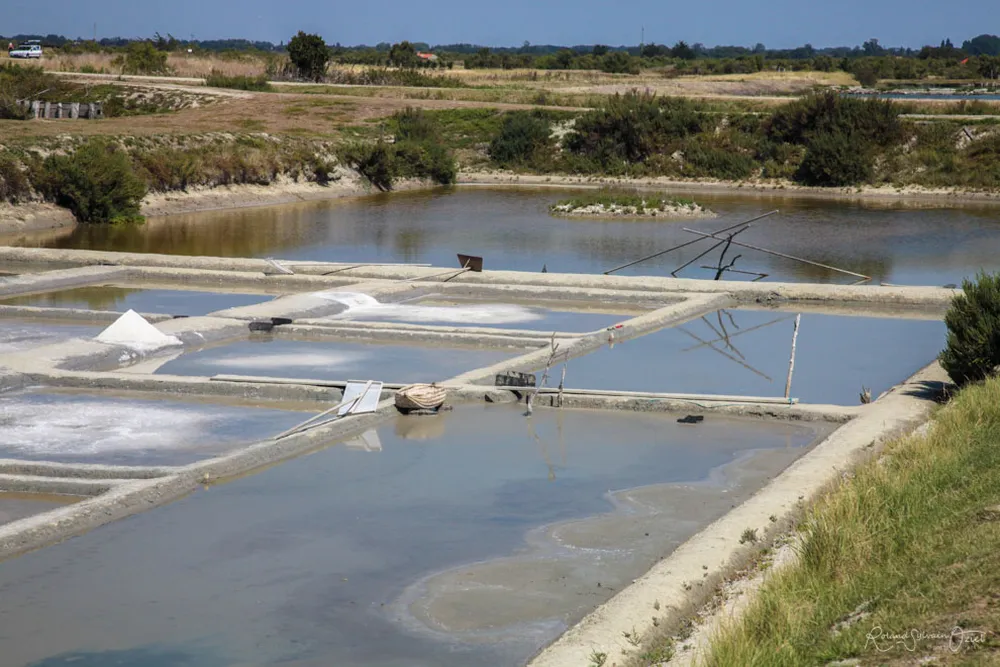 les mulons de sel (tas de sel) dans les marais salants de l'Île de Noirmoutier.