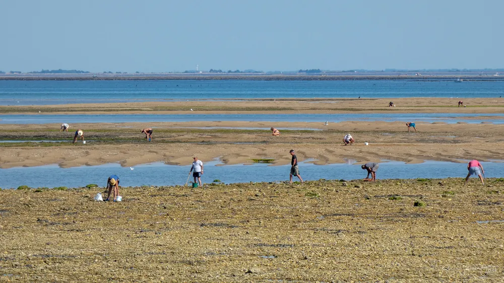 Pêche à pieds camping Natura Village