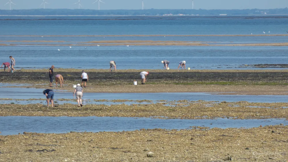 groupe happi village propose un camping proche du passage du gois pour la pêche à pieds