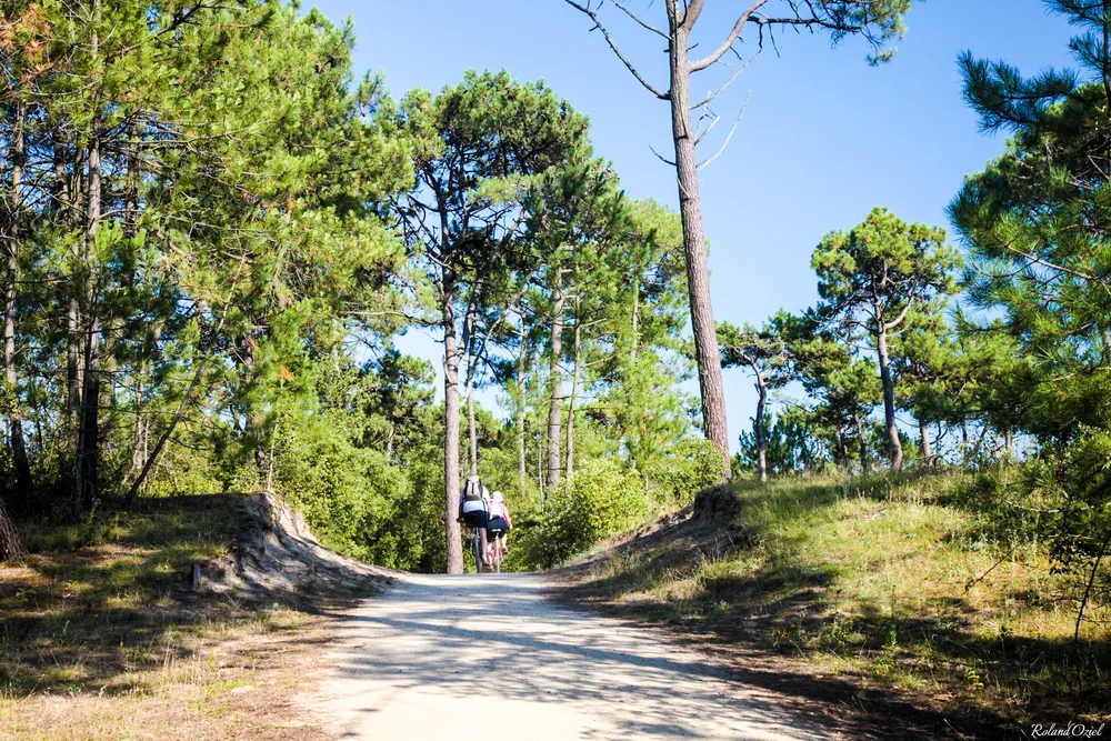 Pistes cyclables dans la forêt domaniale de saint jean de monts
