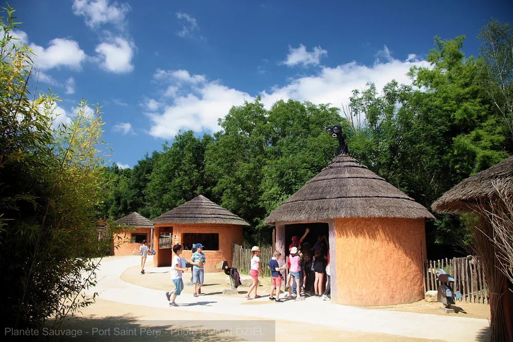 camping sur la côte ouest avec safari